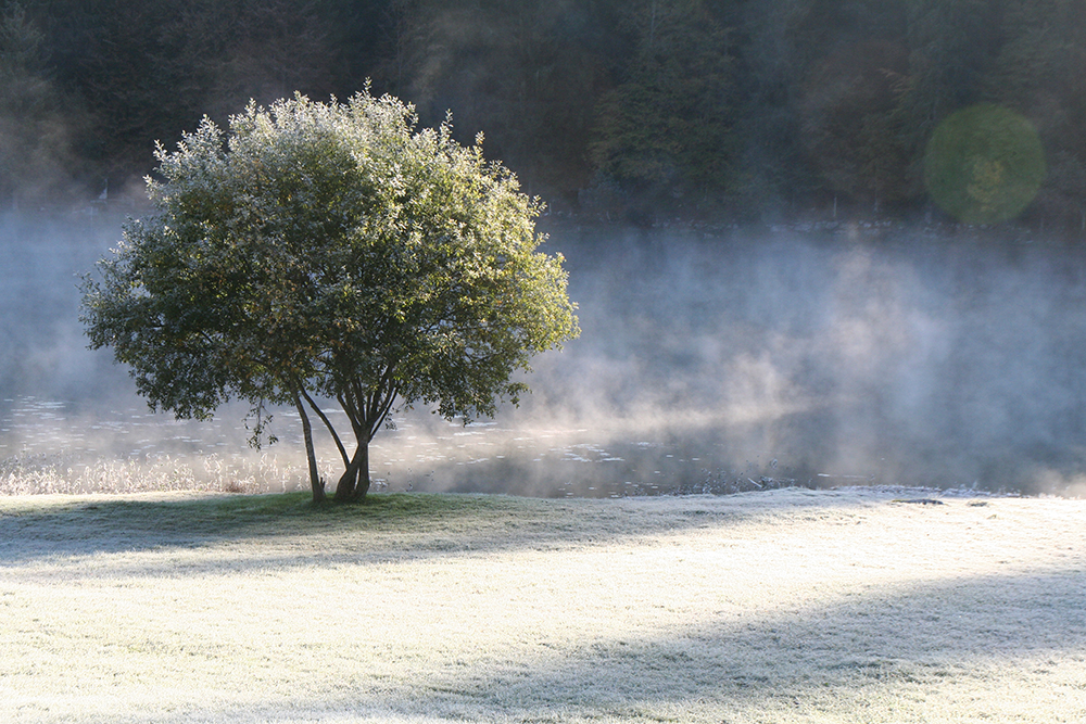 Lake Genin after the first frost