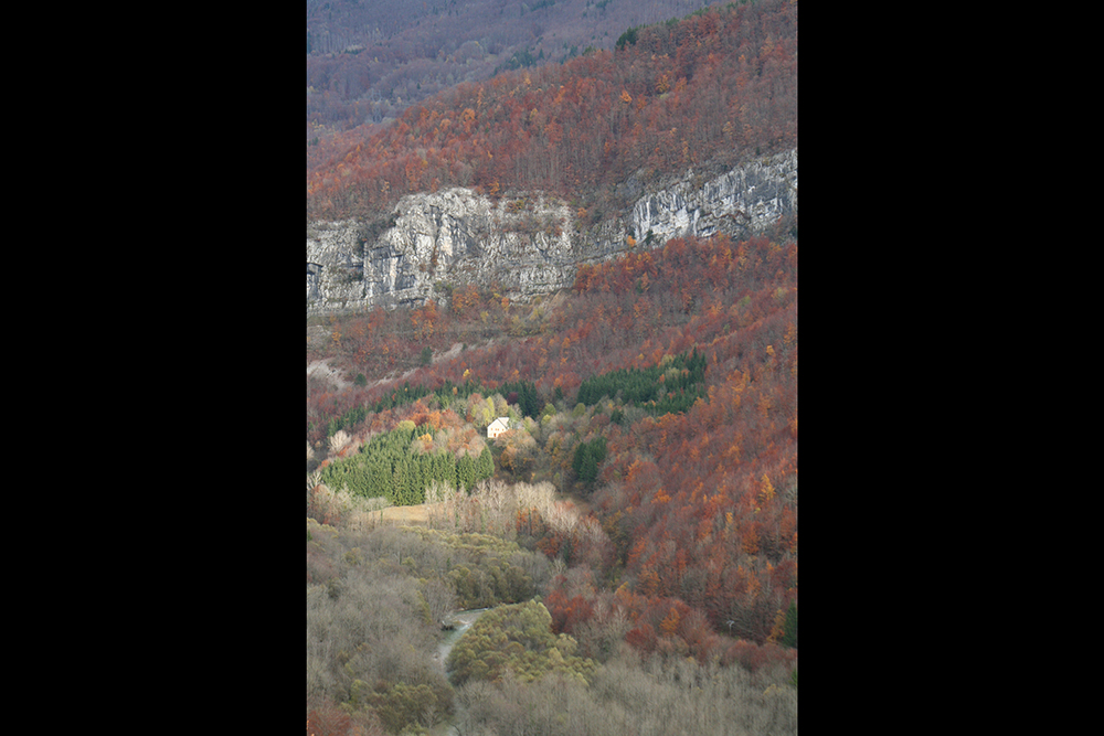 Près du village de Chezery.