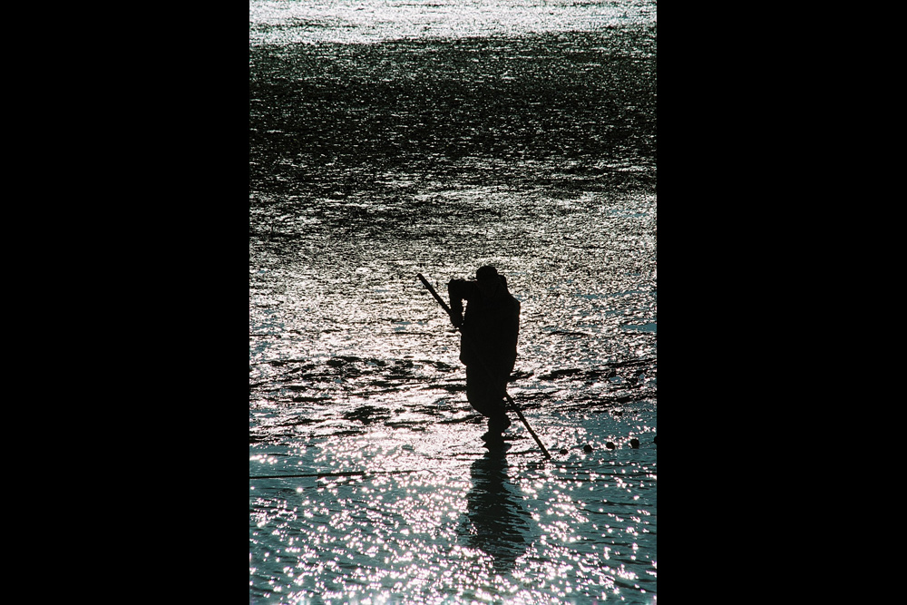 Fishermen in La Dombes (Ain)