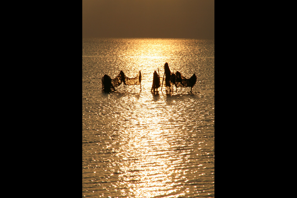 Des filets de pêche sur la côte qui longe la Camargue