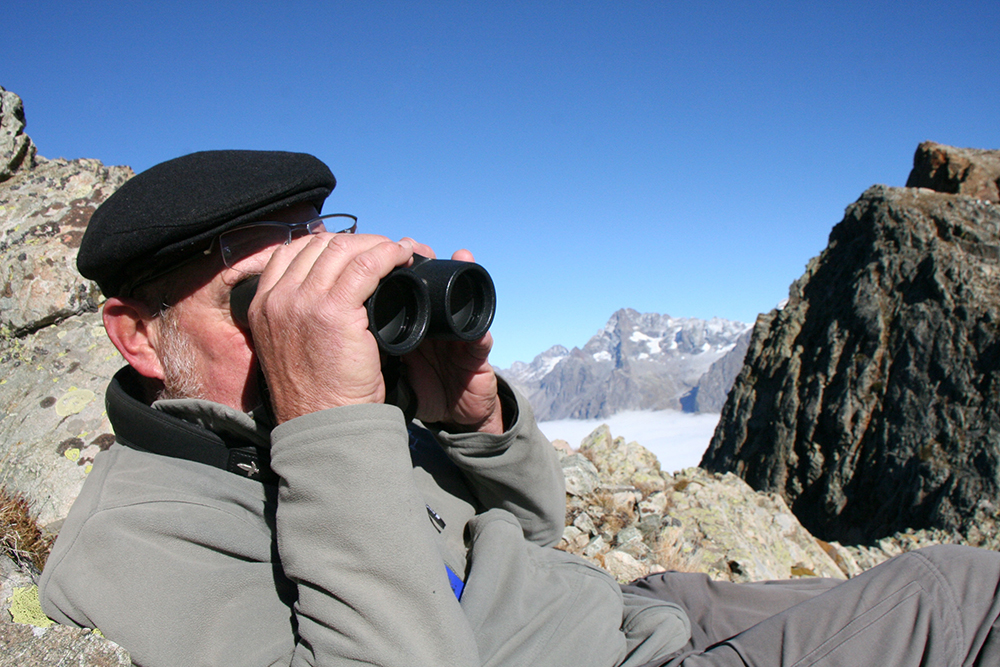 Il cherche le premier bouquetin lâché dans ce Massif