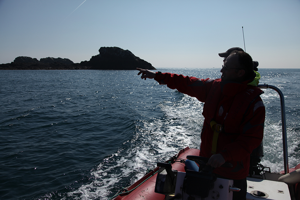 Equipped for monitoring wild dolphins and seals