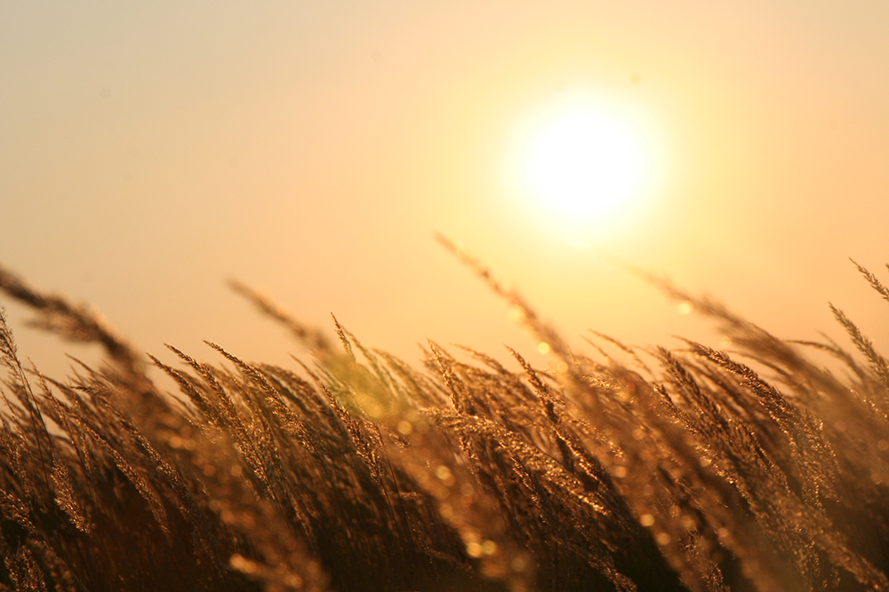 Des tournages du lever au coucher du soleil