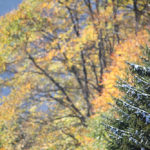 Automne magique et ses neiges furtives