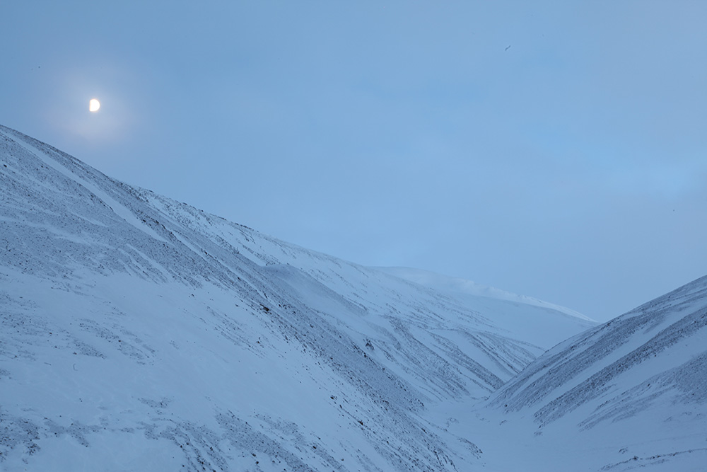 Nature around Longyearbyen...a weapon is necessary for walking