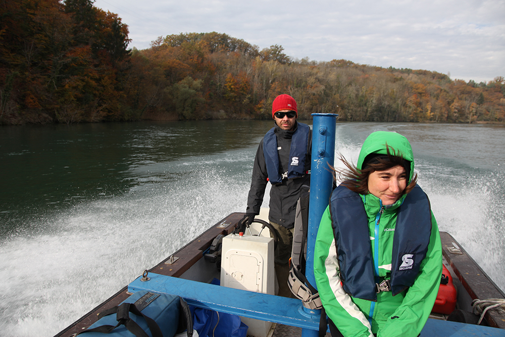 On the Rhone, taking samples for laboratory analysis.