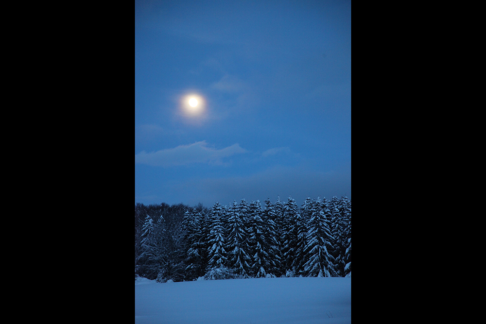 Moonlight, just after a heavy snowfall.