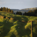 Première activité agricole des Açores, la production de lait