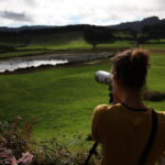 Observation des oiseaux près d'un étang