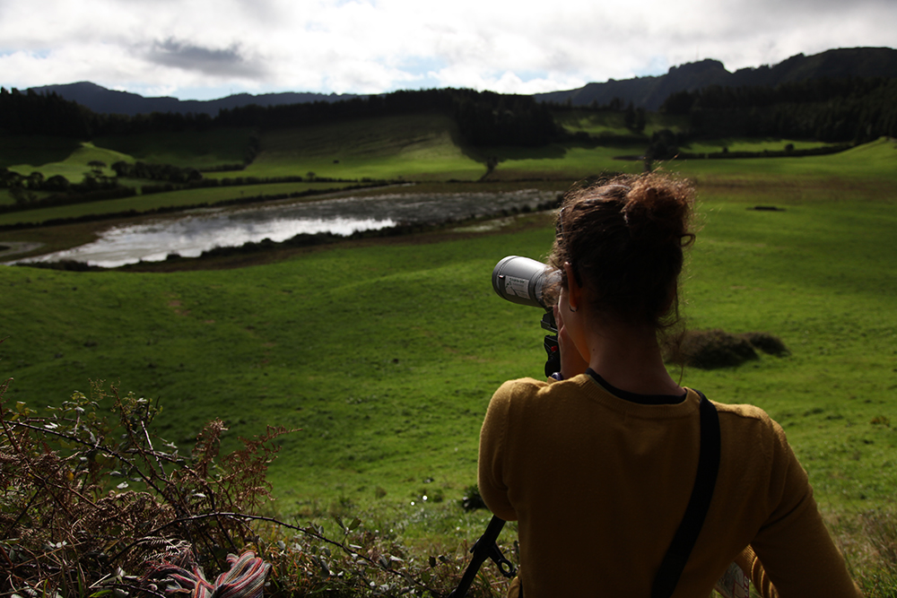 Birdwatching near a pond