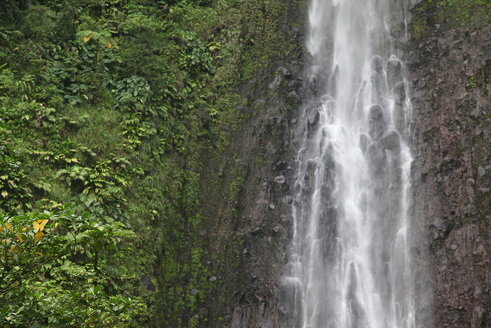 One Carbet Falls