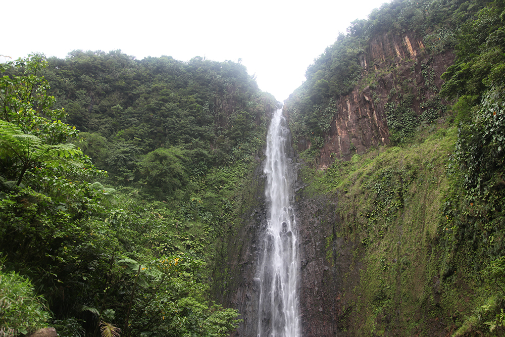 One of the highest waterfalls in Guadeloupe