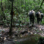 Petite expédition en forêt avec une équipe de botanistes, à la recherche de nouvelles essences