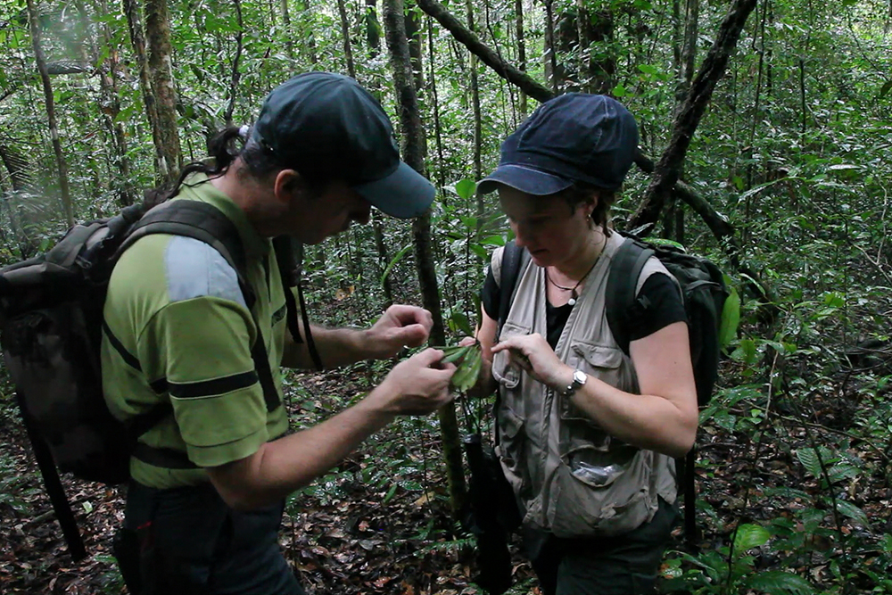 Olivier and Helen may have found a new species