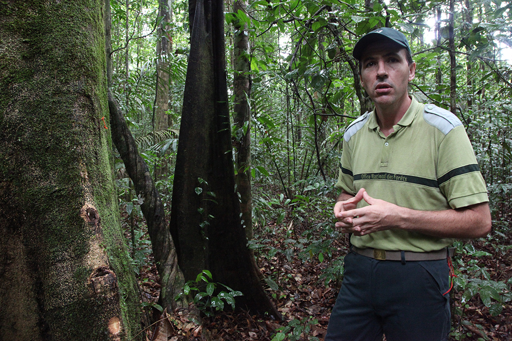 Olivier take care of the Guyana forests on behalf of the ONF