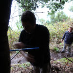 Carottage afin de connaître l'âge de l'arbre
