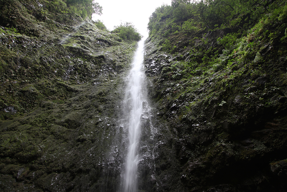 There are many waterfalls in Madeira
