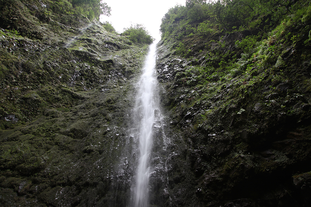 Les cascades sont nombreuses à Madère