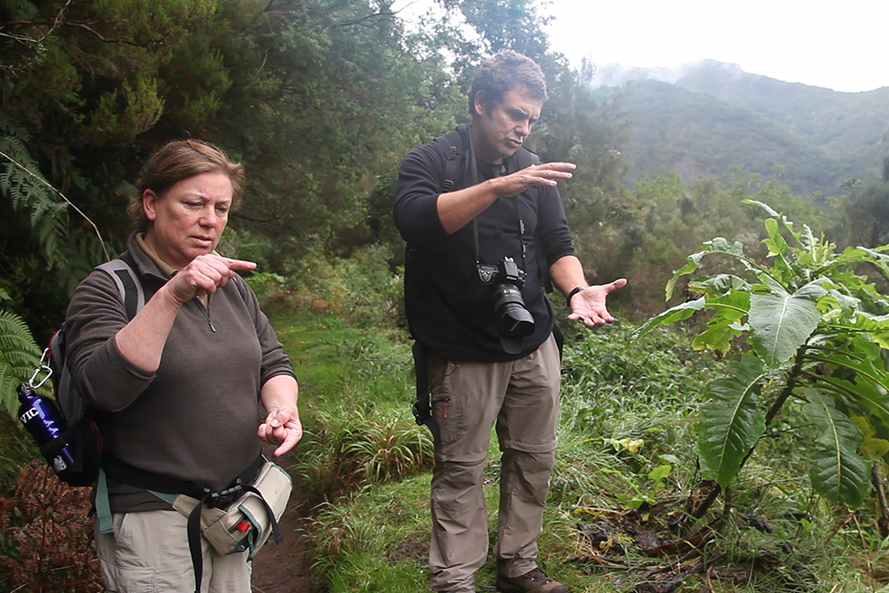 Muguel and Aida describe a plant that exists in the rest of Europe but much smaller