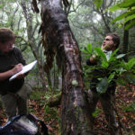 Recensement en forêt