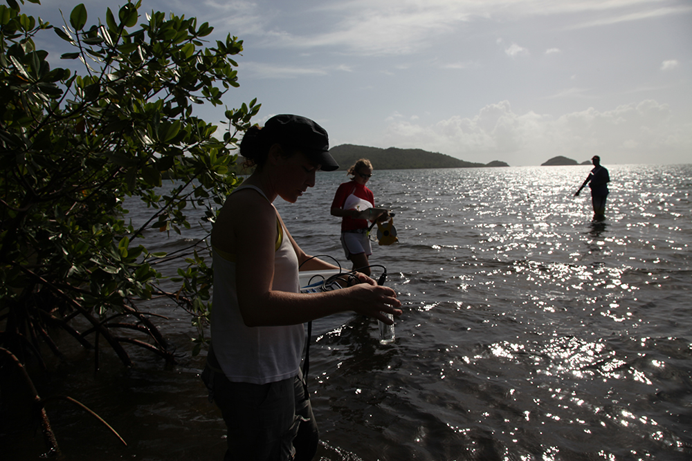 Mélanie and Marie study seagrass