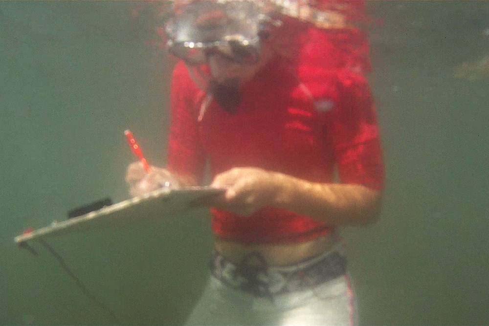 Marie checks the status of seagrass