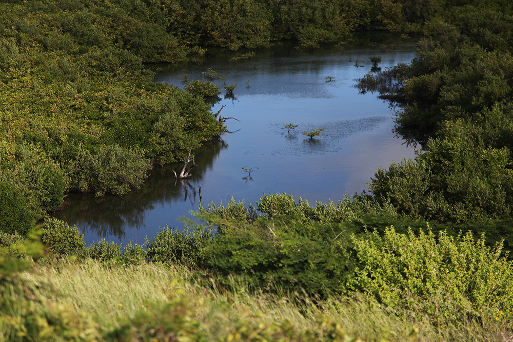 Some ponds are difficult to access