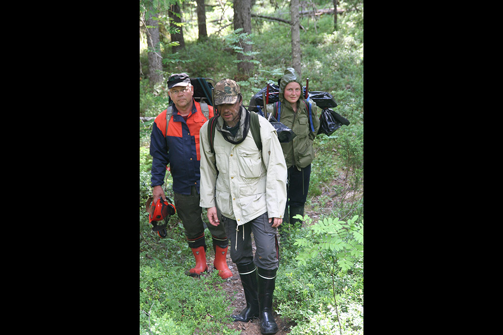 Gergely and his team of entomologists