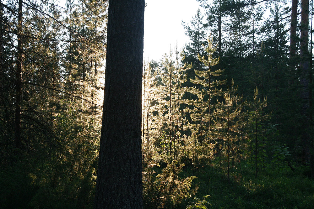 Le soleil joue à cache-cache